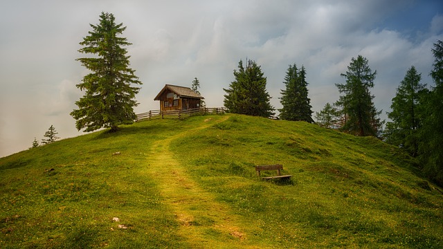 6. The Hills are Alive with the 𝅺Von𝅺 Trapp Family's Musical Legacy: A Fascinating Exploration