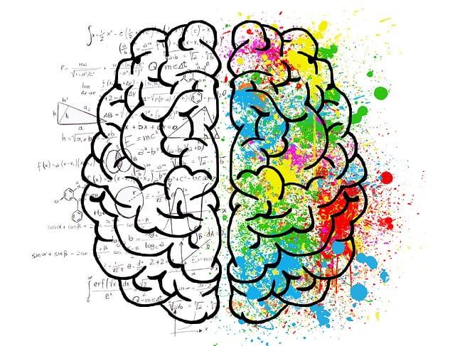 1. Fuel Your Brain: The Power of Andrew Huberman's Lunch for Optimal Brain Function!