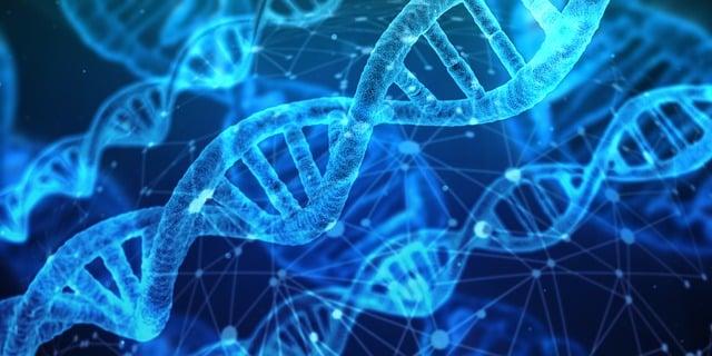 - The Science Behind Habits: A Deep Dive into Neural Pathways
