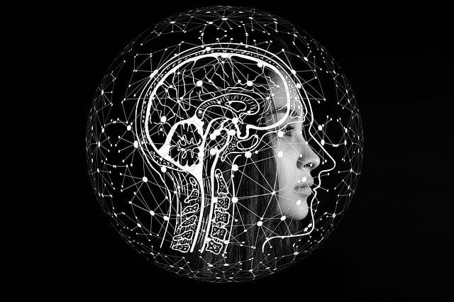 The Science Behind Eating Habits
