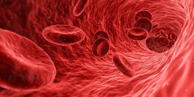 Examining Potential Signs of⁣ Steroid Use in Sam Sulek